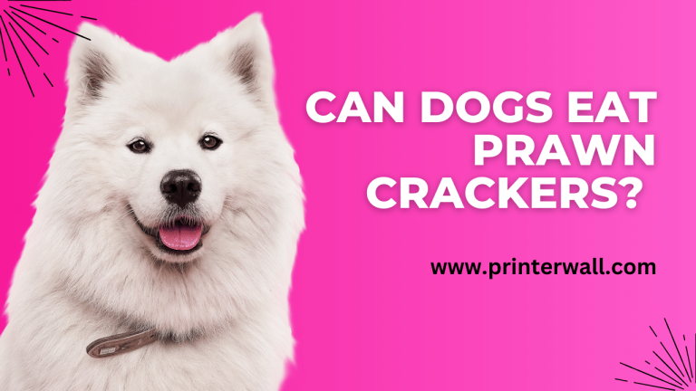 Can Dogs Eat Prawn Crackers