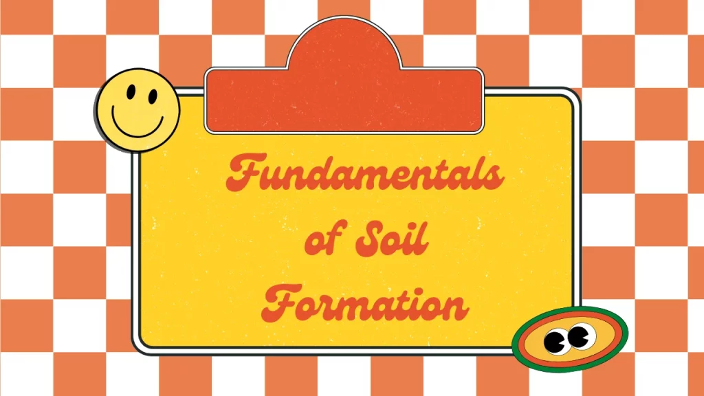 Fundamentals of Soil Formation