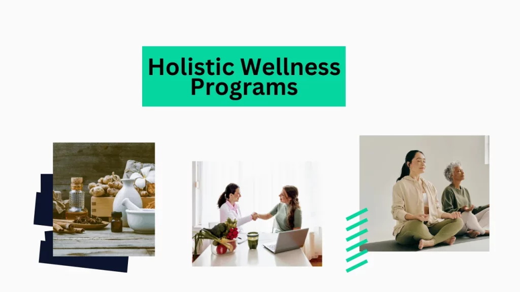 Holistic Wellness Programs