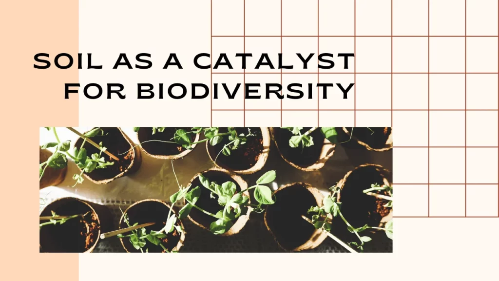Soil as a Catalyst for Biodiversity