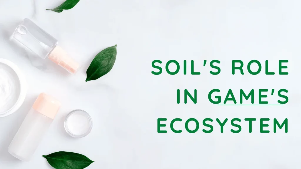 Soil's Role in Game's Ecosystem