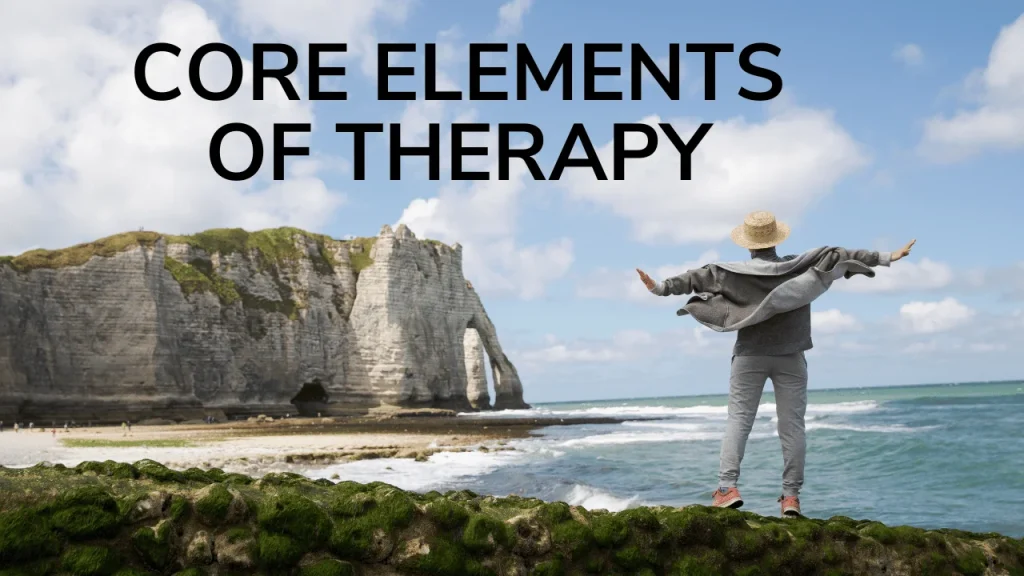 Core Elements of Therapy