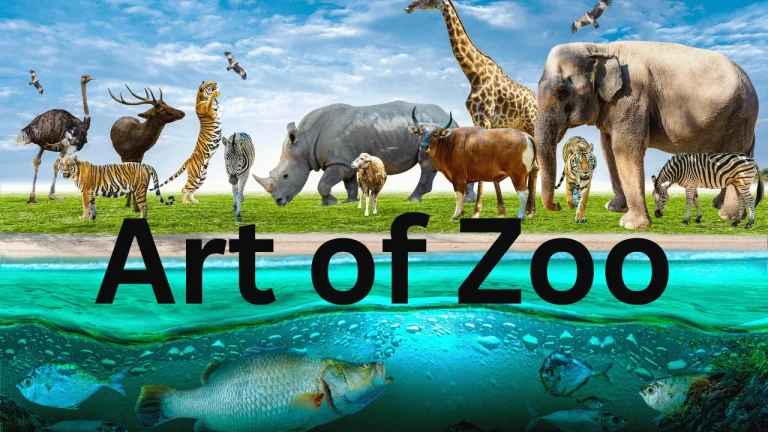 Art of Zoo